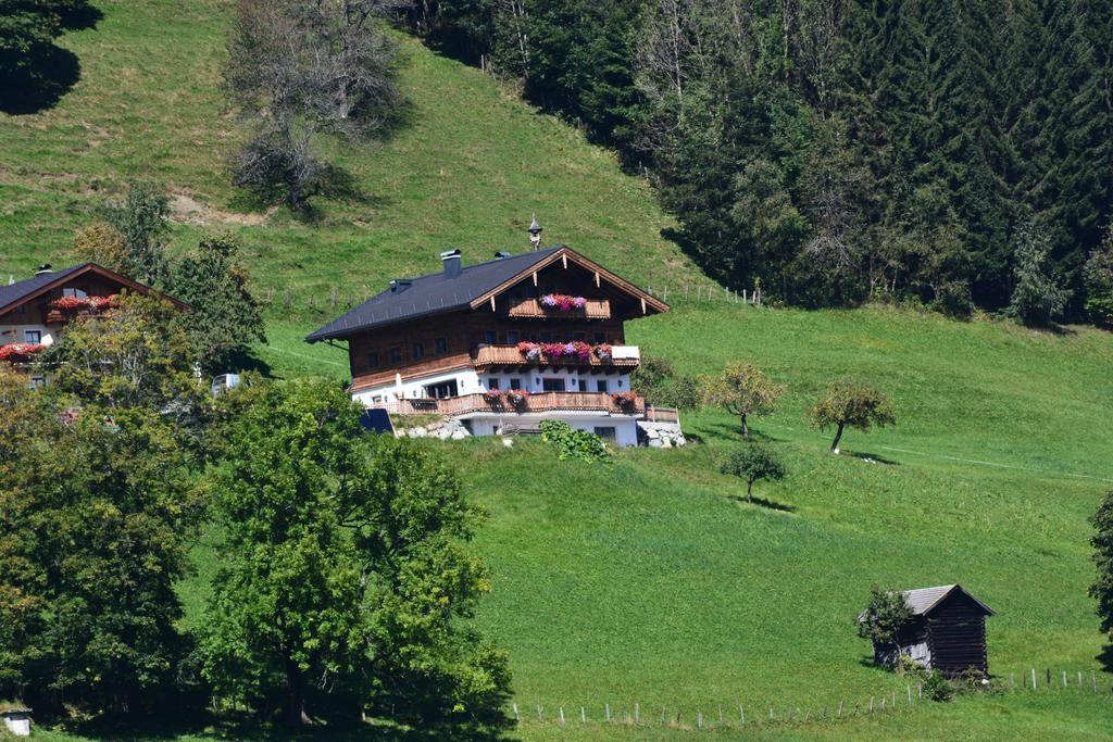 Bio-Bergbauernhof Hubgut Villa Zell am See Exterior photo