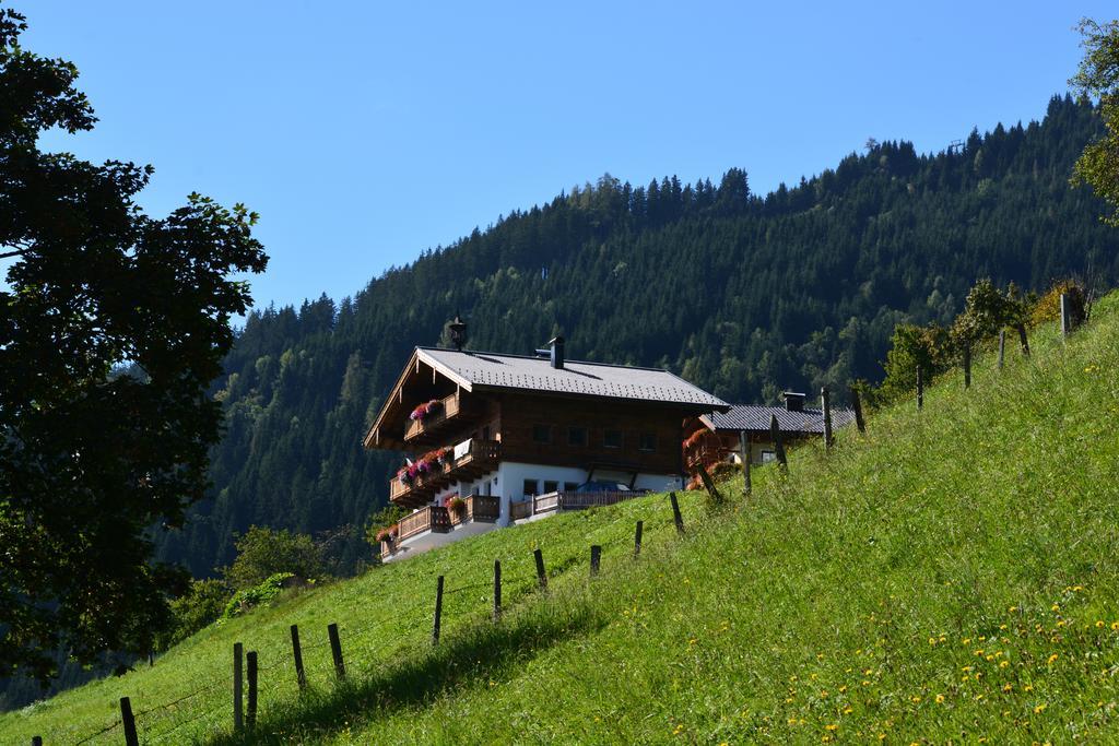 Bio-Bergbauernhof Hubgut Villa Zell am See Exterior photo