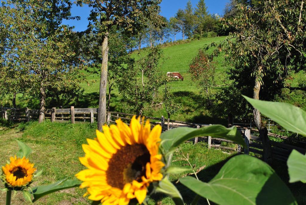 Bio-Bergbauernhof Hubgut Villa Zell am See Exterior photo