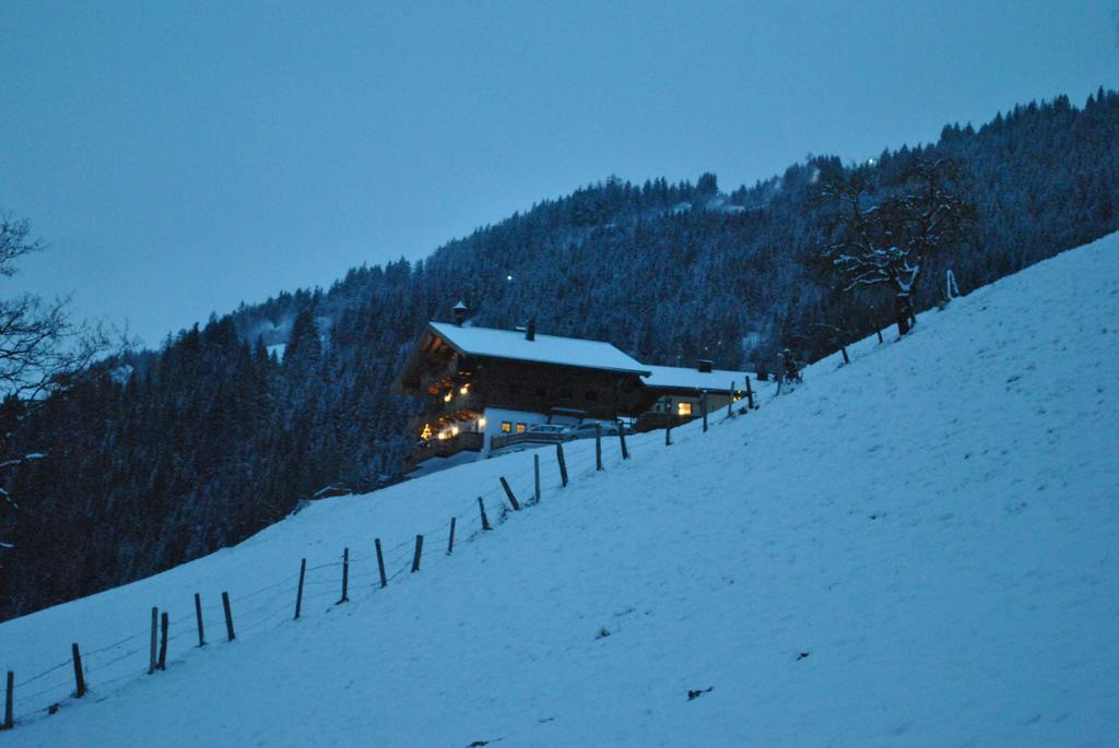 Bio-Bergbauernhof Hubgut Villa Zell am See Exterior photo