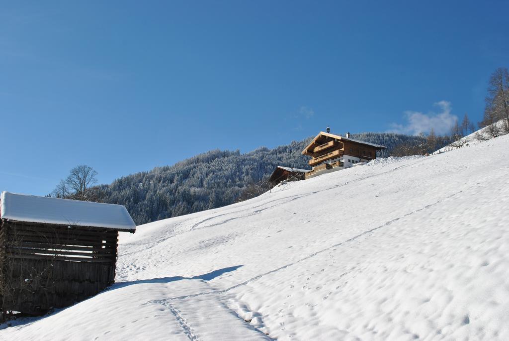 Bio-Bergbauernhof Hubgut Villa Zell am See Exterior photo