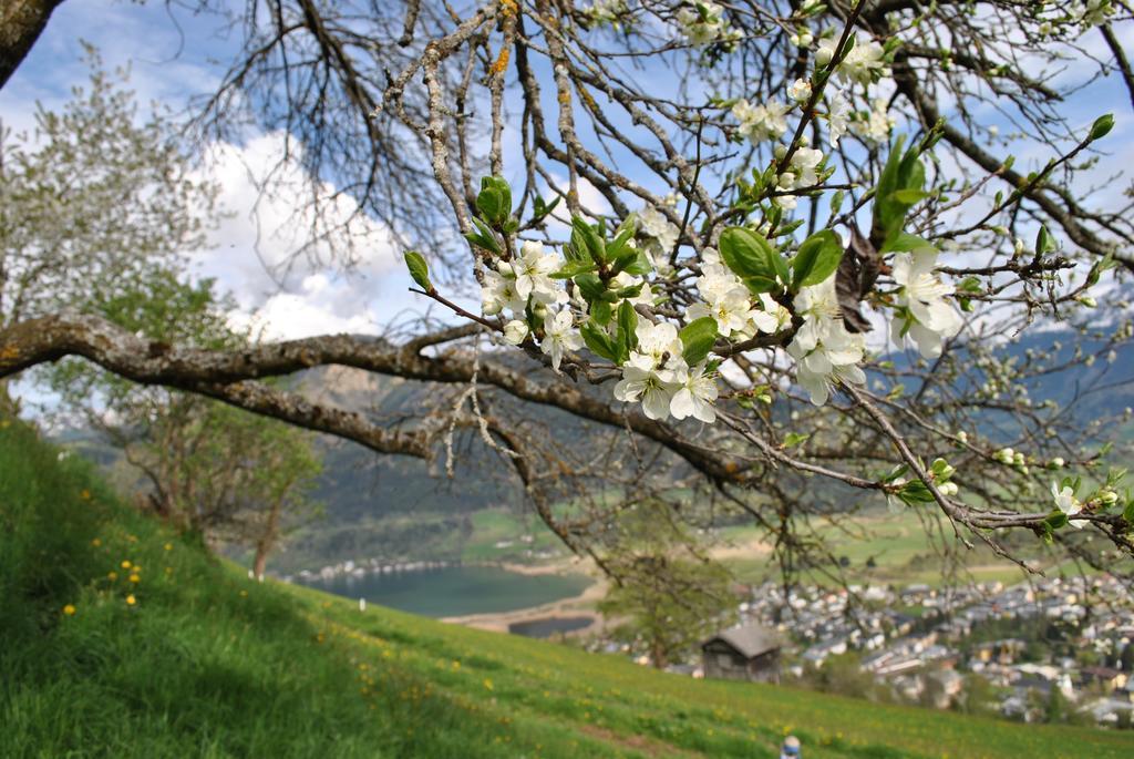 Bio-Bergbauernhof Hubgut Villa Zell am See Exterior photo