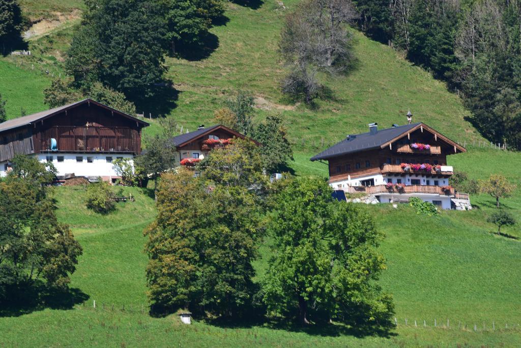 Bio-Bergbauernhof Hubgut Villa Zell am See Exterior photo