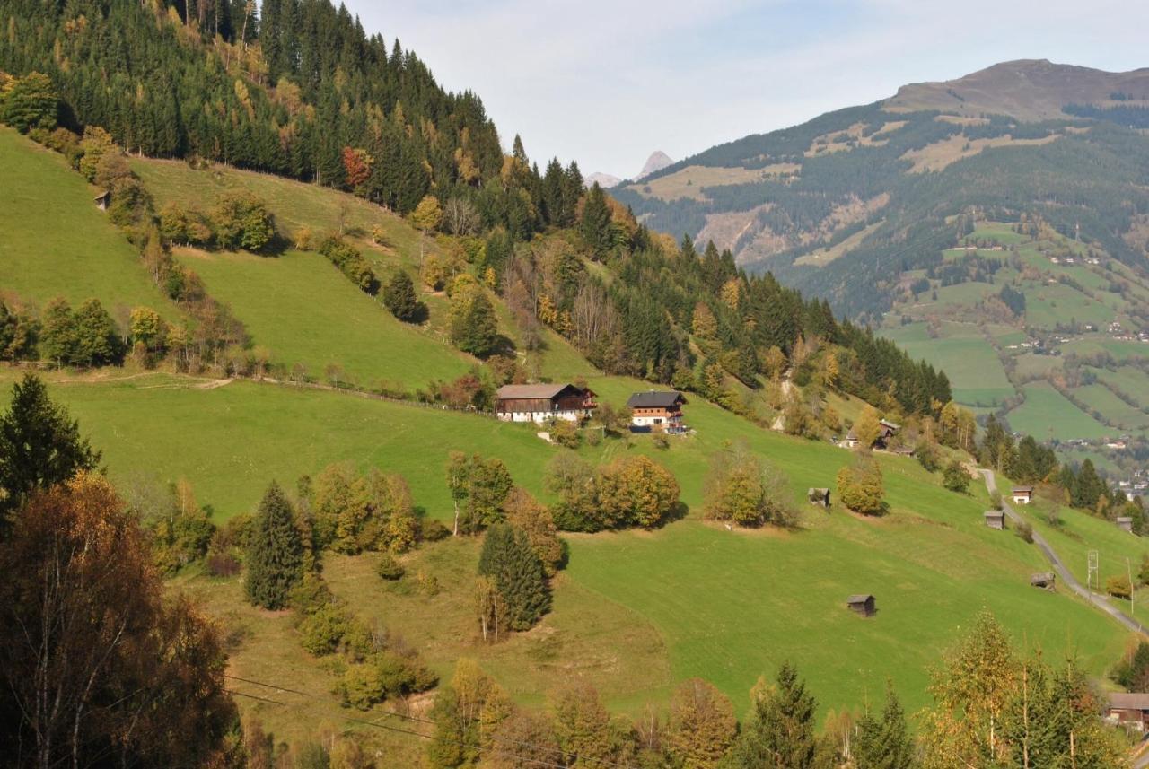 Bio-Bergbauernhof Hubgut Villa Zell am See Exterior photo